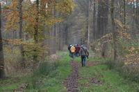 2024_Herfstwandeling 6